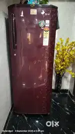 5 Star LG Refrigerator 270 Ltrs
