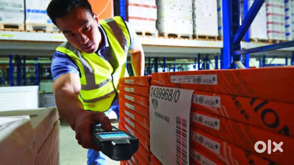 Wanted  warehouse packing helpers [ night shift / day shiftv]