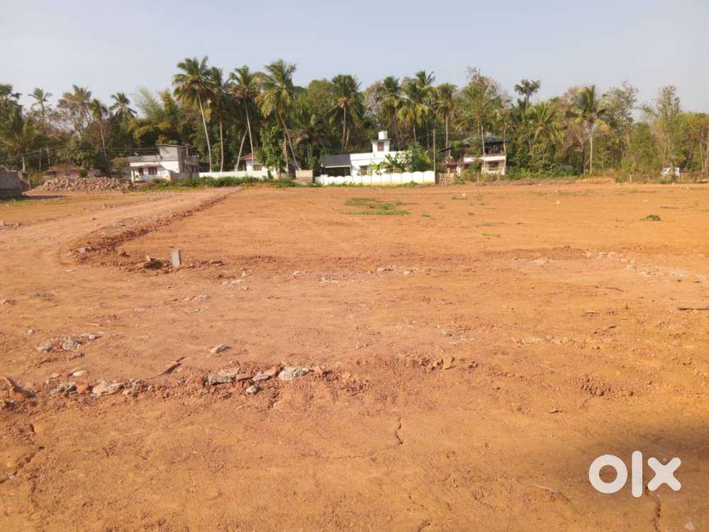 പാലക്കാട് കല്ലേക്കാട് പറമ്പ് പ്ലോട്ട് വില്പനയ്ക്