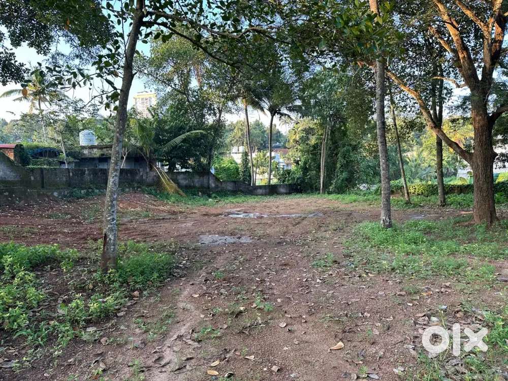 33 cents (9lakh per cent)plot available for sale in kudappanakunnu