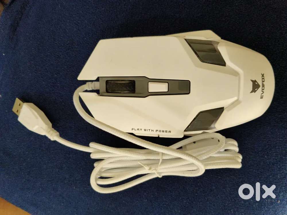 Computer accessories (mouse)