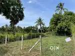 5.6 cent residential plot for urgent sale