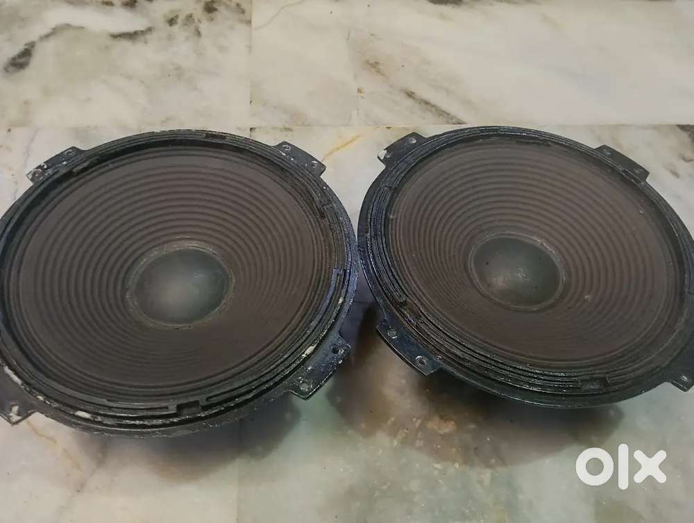 10' Inch Pare Speakers (Made in India)Bass/Treble/Mid