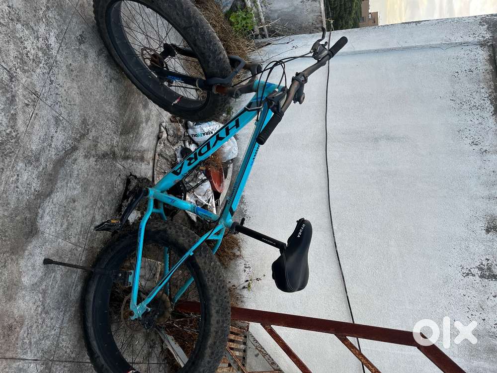 Hydra fat bike