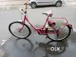 Ladybird ladies cycle