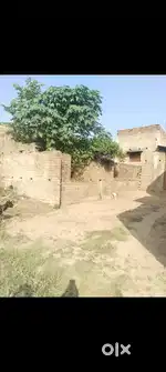 Land for sell in hatidah dariyapur dharmpur