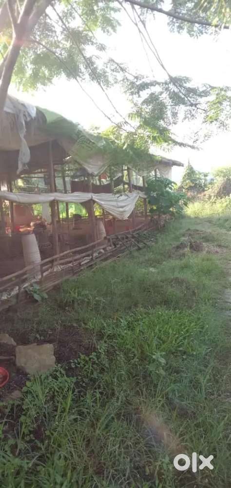 3 katha land for sale