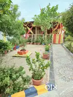 Ready to move budget friendly