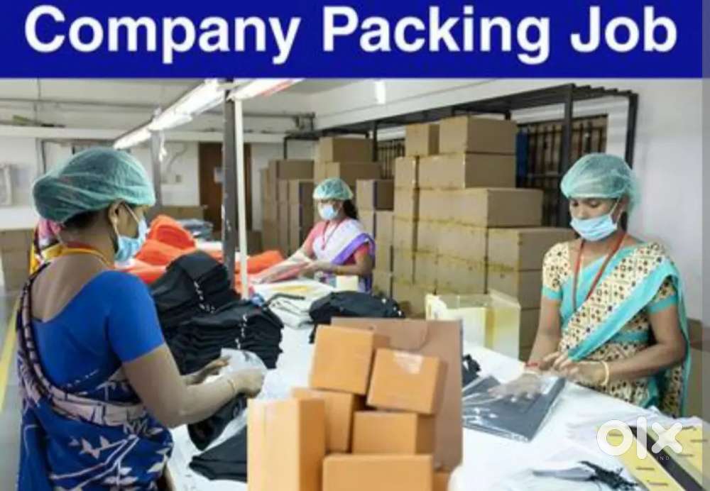 Packing assistant cum store sales