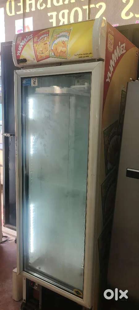 Western make 500 ltrs vertical display freezer -18 to -23 c