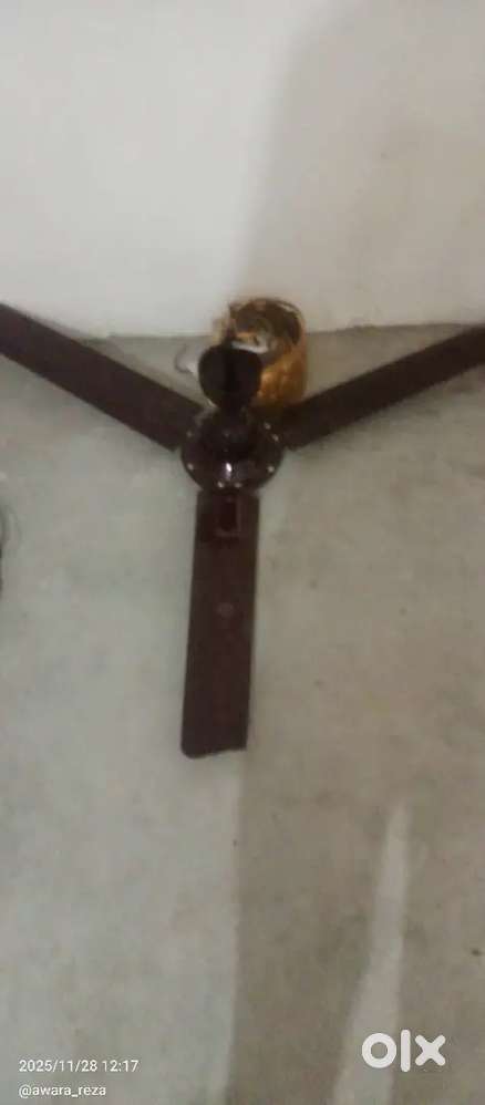 Celling Fan