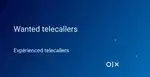 Wanted Telecallers only for females