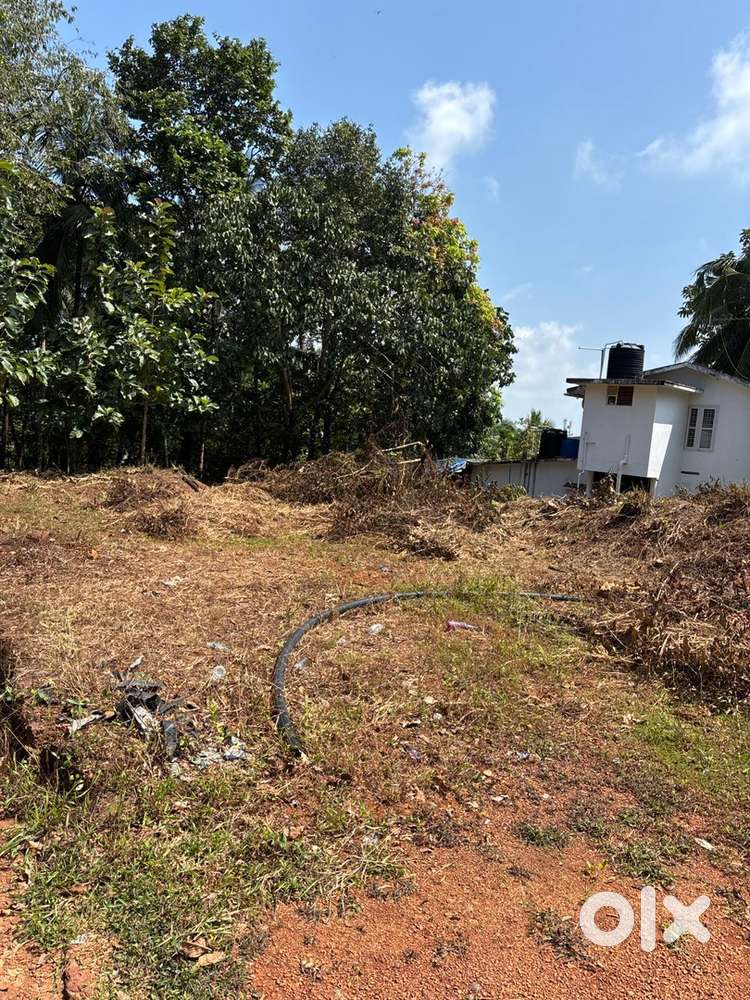 10 cent house Plot located beside Panchayath road