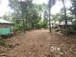 LAND FOR SALE IN MAMMALA THIRUVANKULAM