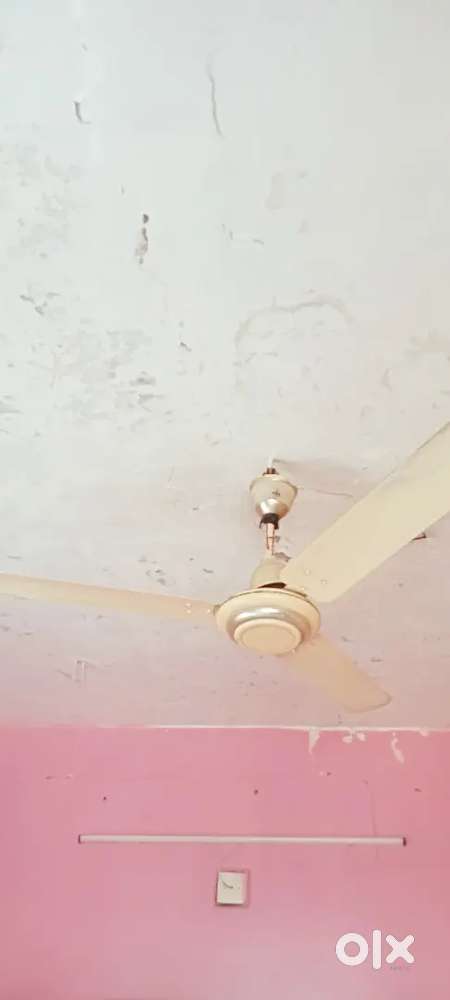 Fan   ceiling fan