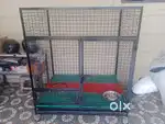 Dog cage 4*3 size