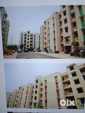 1 BHK Ground Floor- DDA Rohini Sec 34 for rent