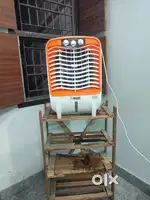 Cooler 1 year Old