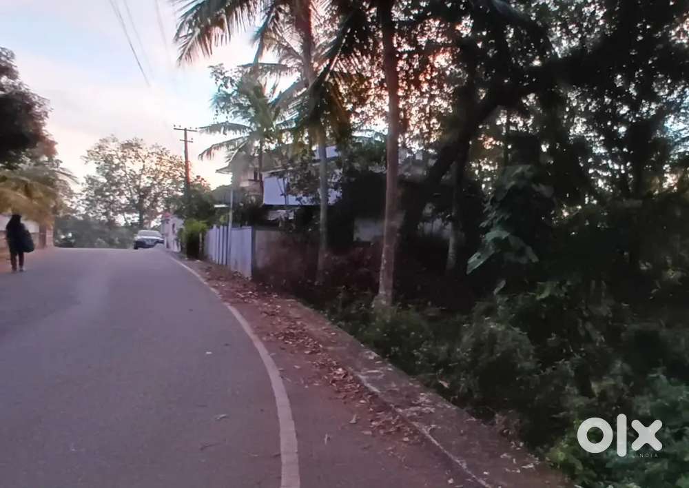 10 cent sreekariyam njandoorkonam