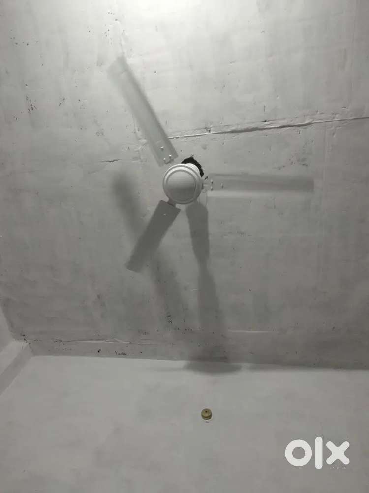 RR Celling fan very good condition new fan