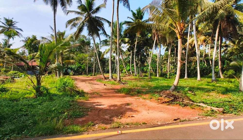 7 cent plots for sale