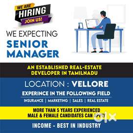 BUSINESS  MANAGER  WANTED FOR LEADING REAL ESTATE AGENTS