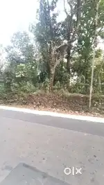 തൊടുപുഴ, നേടിയാശാല 30 സെന്റ് സ്ഥലം വില്പനക്ക് ബസ് റൂട്ട് frontage