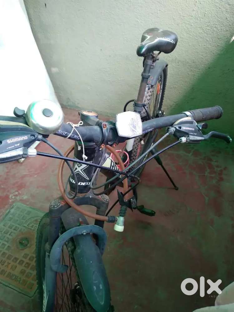 ROADEO Model