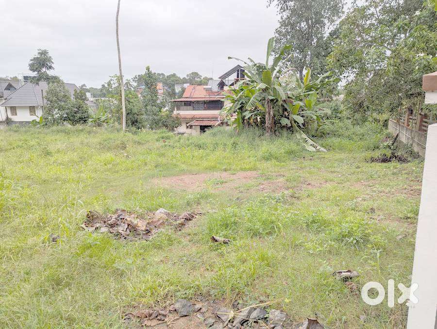 House plot 7 cents at Ettumanoor 3.75 lakh/cent