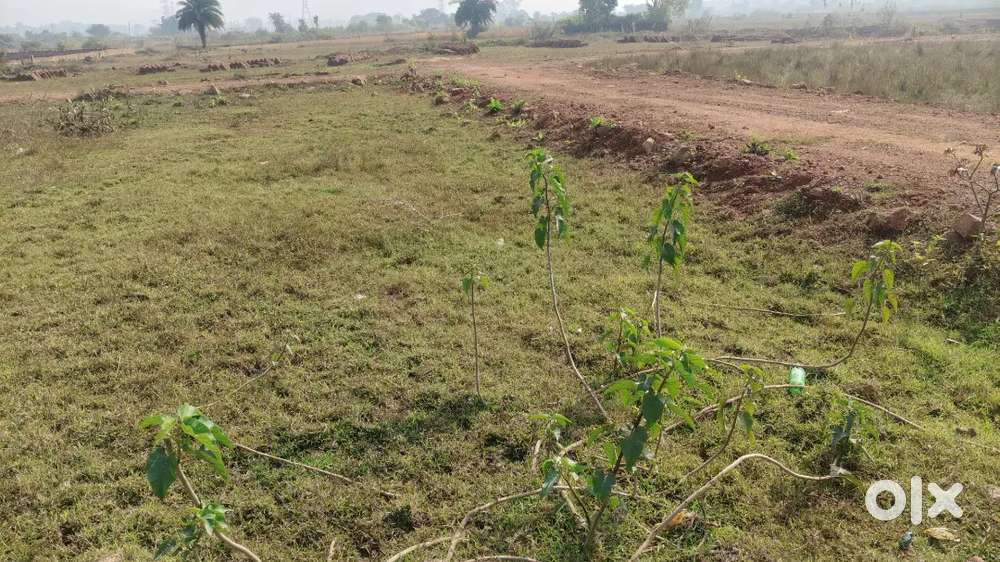 Plot for sale at reasonable prices