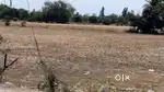 Only sell plot