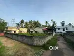 3.8 Cents of Dry Land for Sale in Mangattukonam