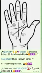 AstrologY service in home & whatsapi. with VASTU SASTRA KUNDALI palm n