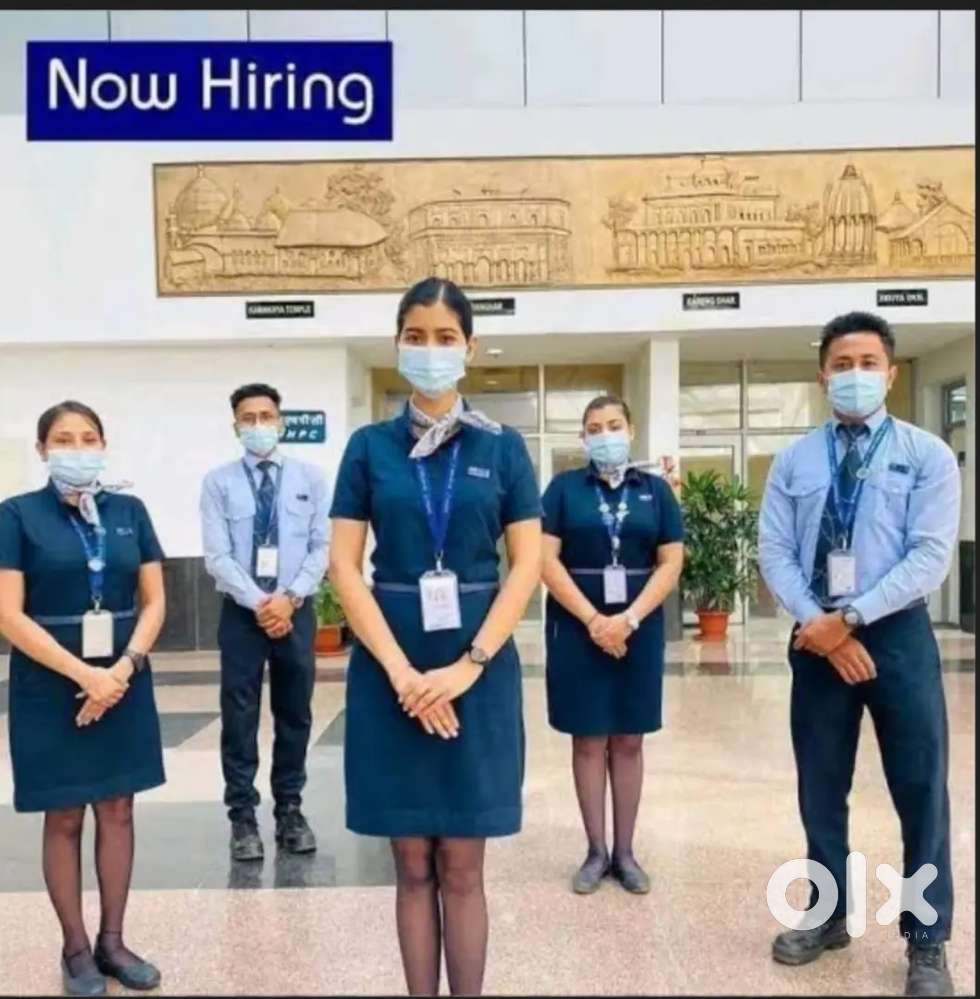 Urgent hiring for Indigo airline apply fast