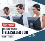Looking for a flexible, part - time job  from home?