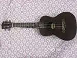 Ukulele at your budget