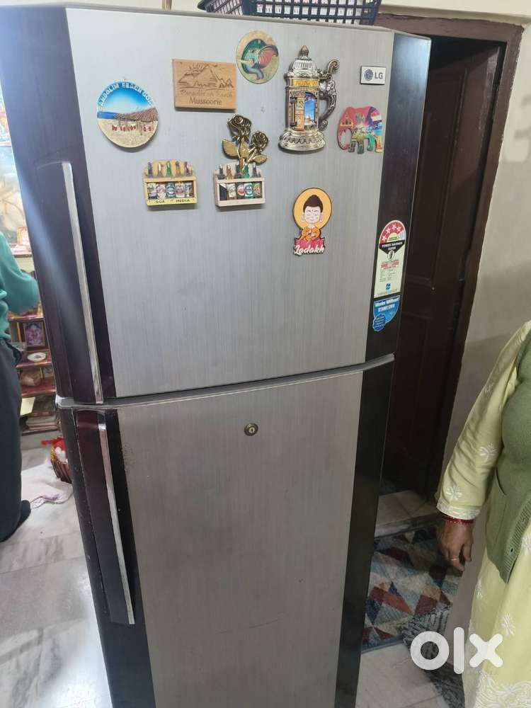 Double Door Fridge