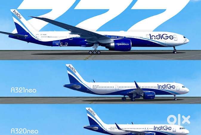 Urgent Requirement For Ground Staff Jobs In IndiGo Airlines