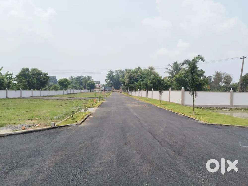 Spot Booking Offer Get 2 Gram Gold Coin Free Free