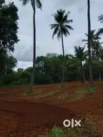 Farm Land with good returns 6534sqft immediate Registration call