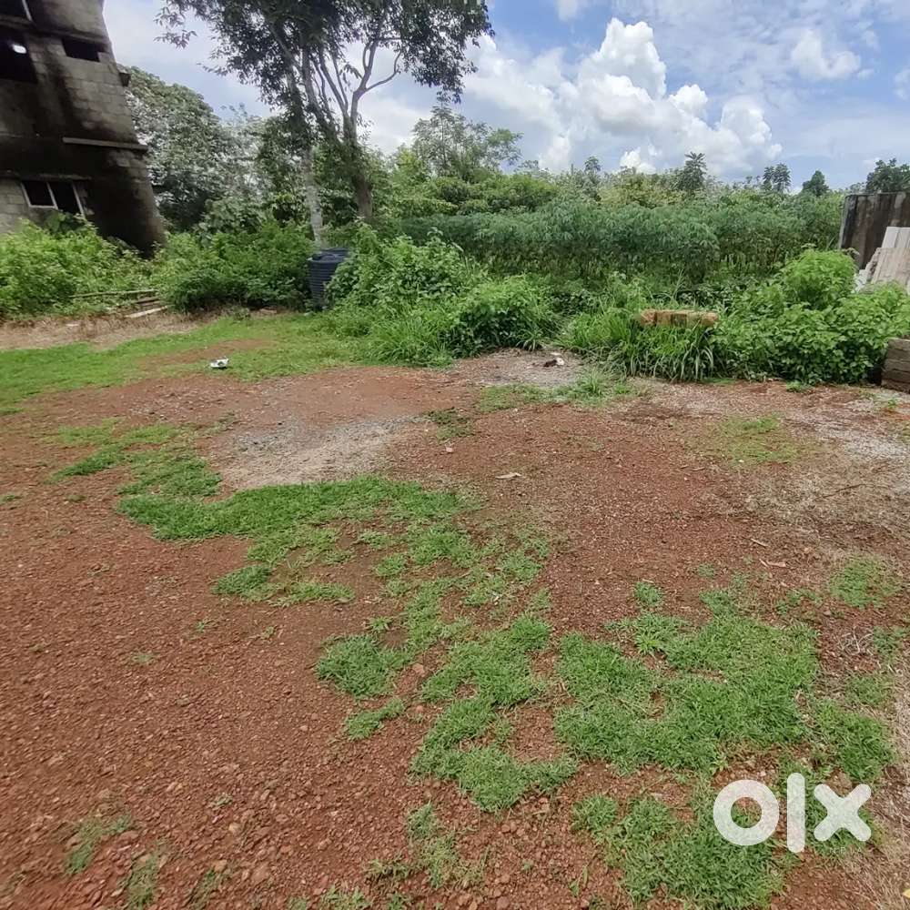 4 Cent Plot for Sale -Peppathy, Ernakulam