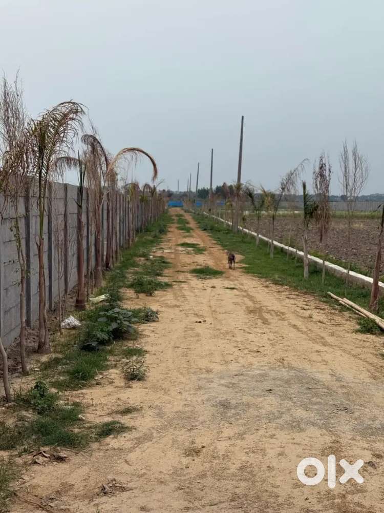 Two side open cornor plot sale  your affordable