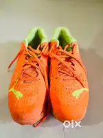 Puma Spike 22.1 Cricket Shoes For Men (Orange, 11)