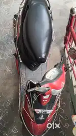 Tvs scoot pepe