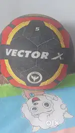 ₹350 Football