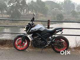 Mt15 - 2022