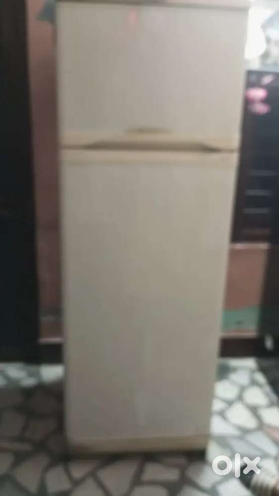 Kelvinator Fridge