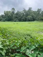 5 Decmal Plot on Main Road,Tamluk Maniktola Indian Oil Petrol Pump বেস