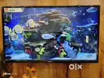HD ready LED Smart Android (80cm)32 inch tv with box