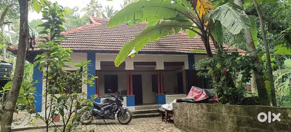 House for shooting daily rent